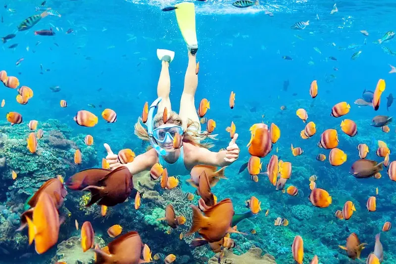 Nusa Penida Snorkeling