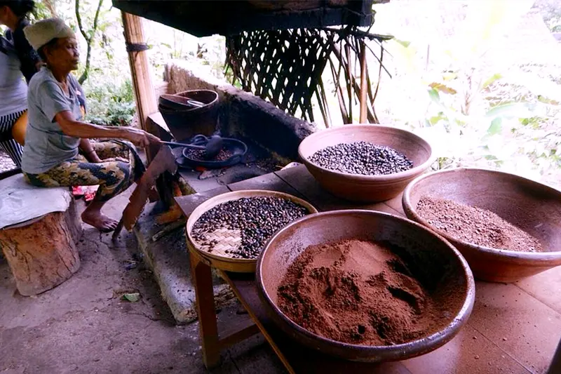 Coffee Plantation